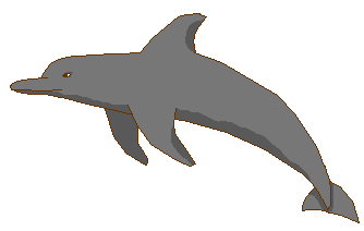 This is Seng. He's from the waters surrounding Glass Island Weyr!
